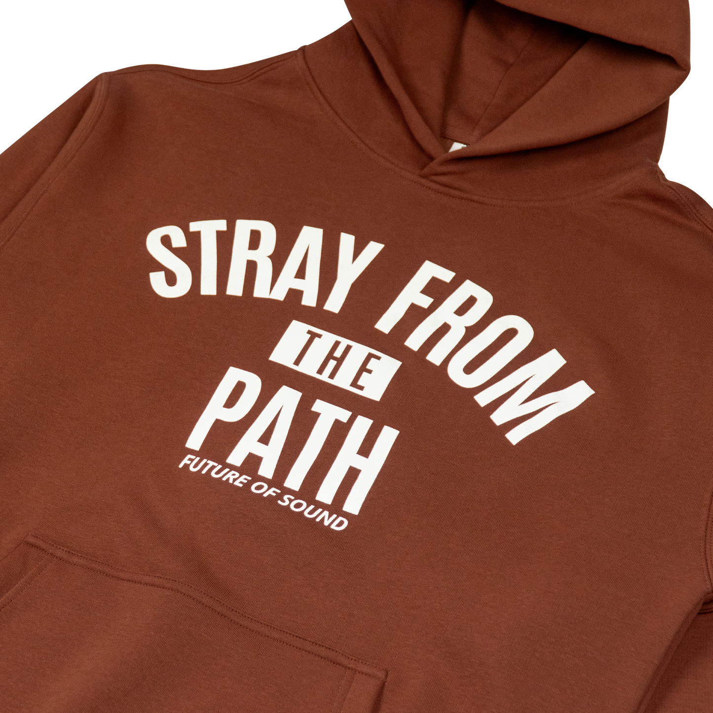 Future of Sound Hoodie - Clay